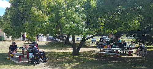 Shady picnic spot